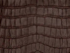 Brown Croc color