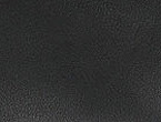 Black Onyx color