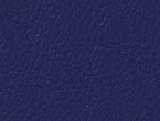 Regatta Blue color