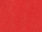 Buoy Red color
